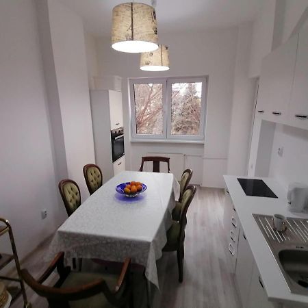 Central Appartment - Heart Of Bucharest - Sector 1 - New Renovated - Open Space Buitenkant foto