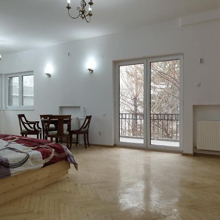 Central Appartment - Heart Of Bucharest - Sector 1 - New Renovated - Open Space Buitenkant foto